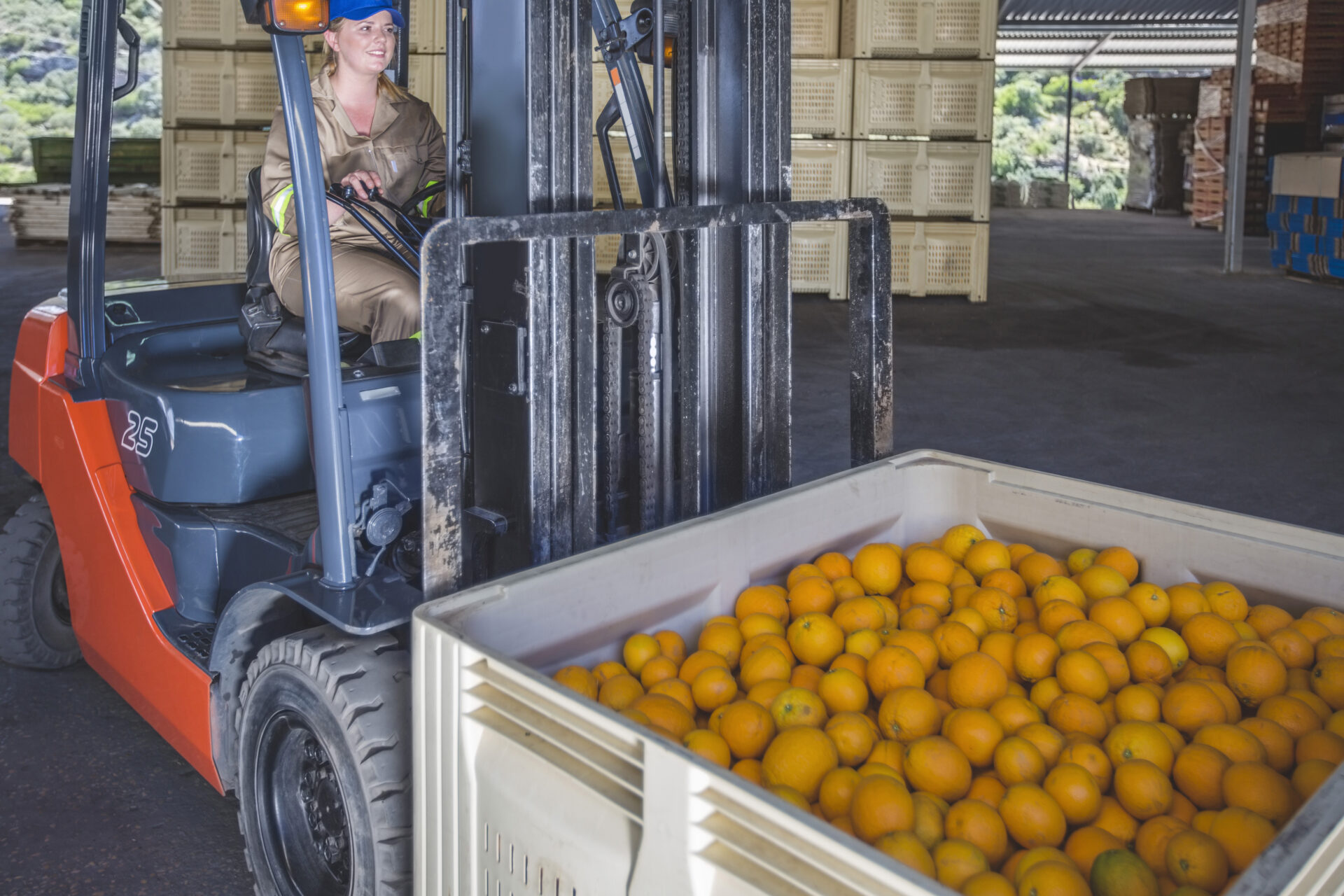 Optimizing Food-Processing Efficiency: The Role of Specialized Forklifts